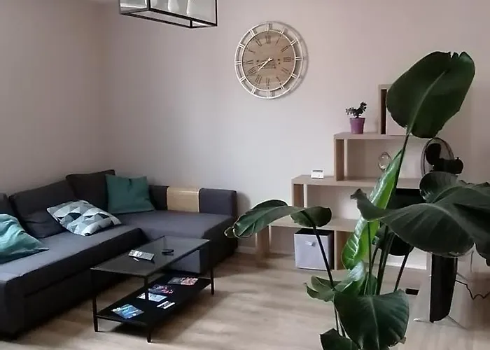 Proche Nausicaa Et La Vieille Apartment